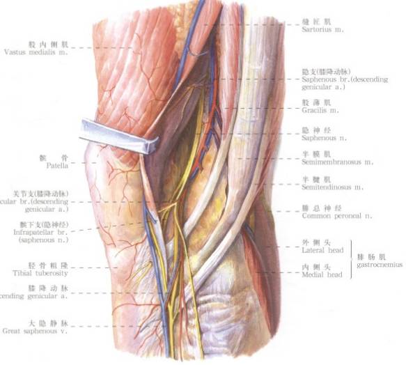 QQ截图20141201235432.png