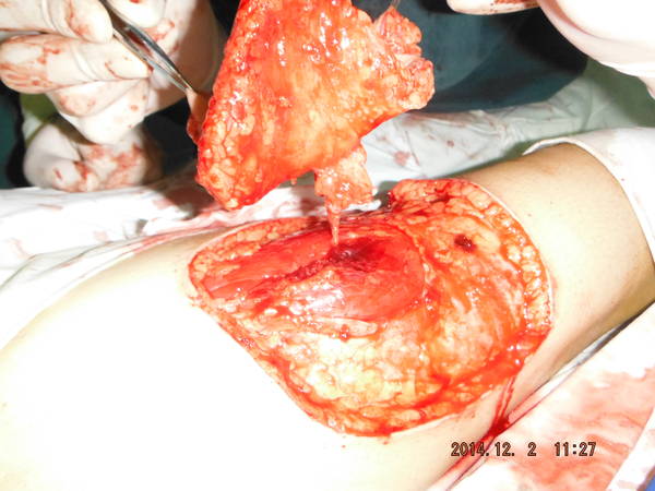 DSCF8416.JPG