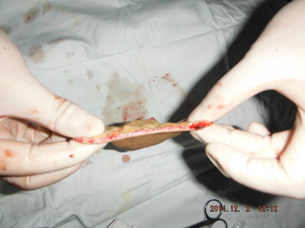 DSCF8418.JPG