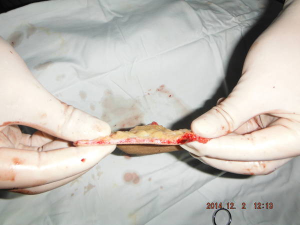 DSCF8419.JPG