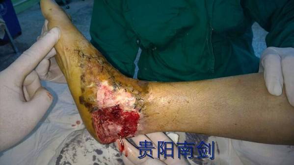 QQ图片20141111153852.jpg