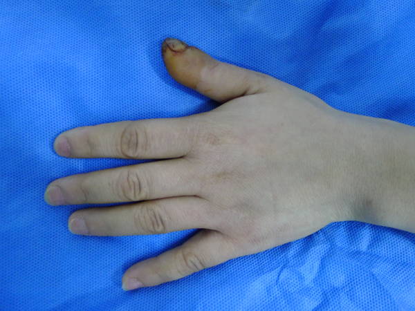 P1040425.JPG