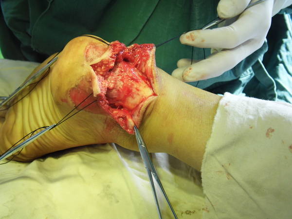 DSCI0637.JPG