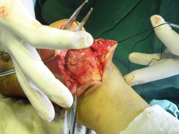DSCI0638.JPG