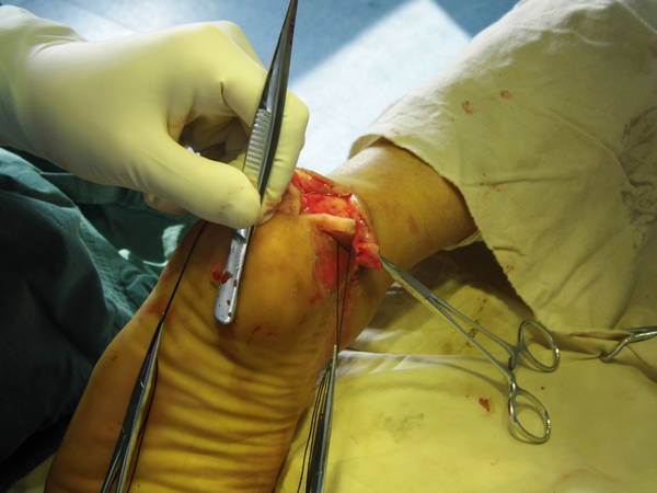 DSCI0639.JPG