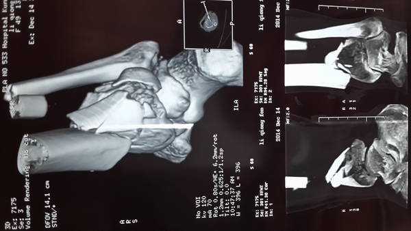 20141216_095814.jpg