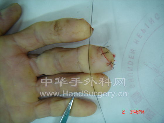 复件 DSC00384.JPG