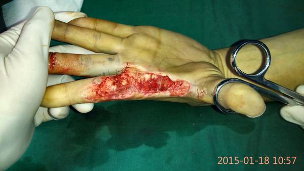 IMG_20150118_105743.jpg