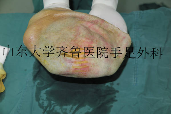 IMG_4654_副本_副本.jpg