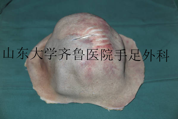 IMG_4669_副本_副本.jpg