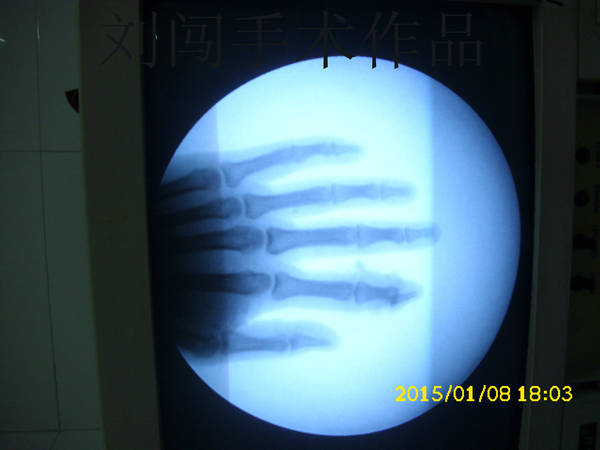 DSCI9494.jpg