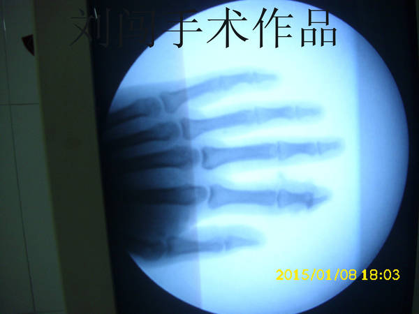DSCI9497.jpg