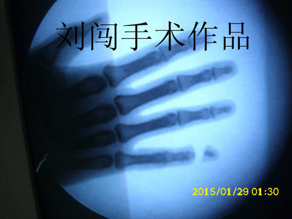 DSCI9739.jpg