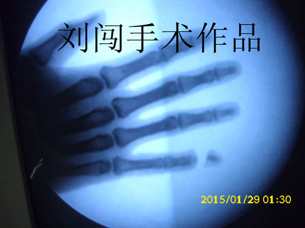 DSCI9740.jpg