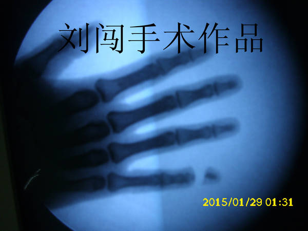 DSCI9741.jpg