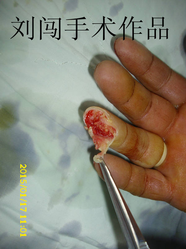 DSCI9556.jpg