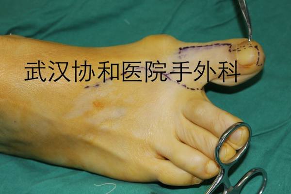 IMG_9972副本.JPG