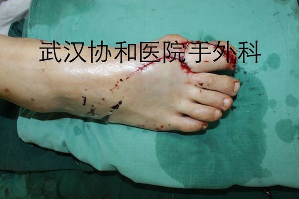 IMG_9987副本.JPG