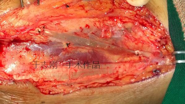 照片 839.jpg