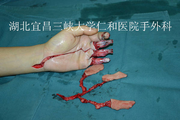 DSC_0045_副本.jpg