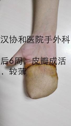 IMG_20150522_105643.jpg