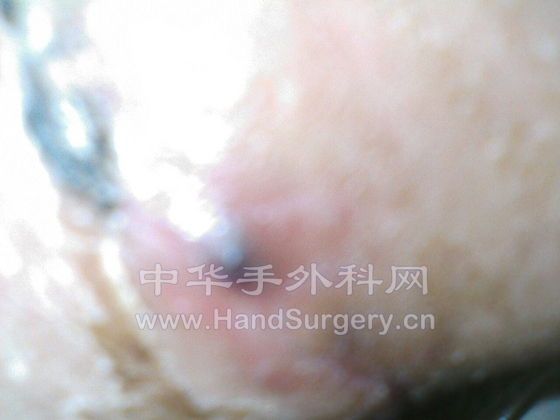 IMG003.JPG
