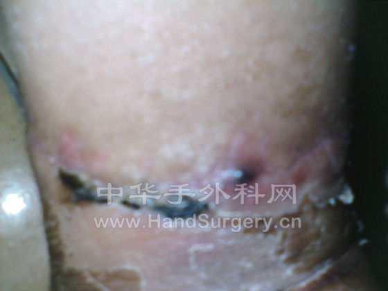 IMG001.JPG