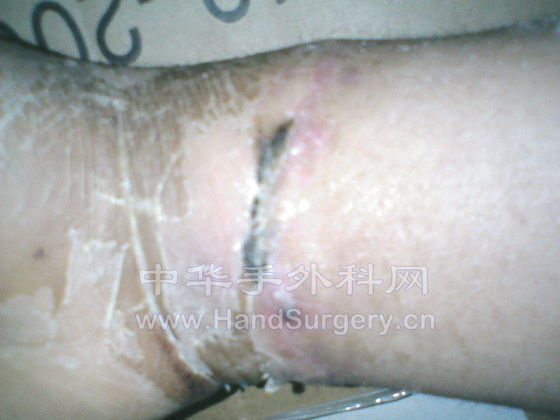 IMG002.JPG