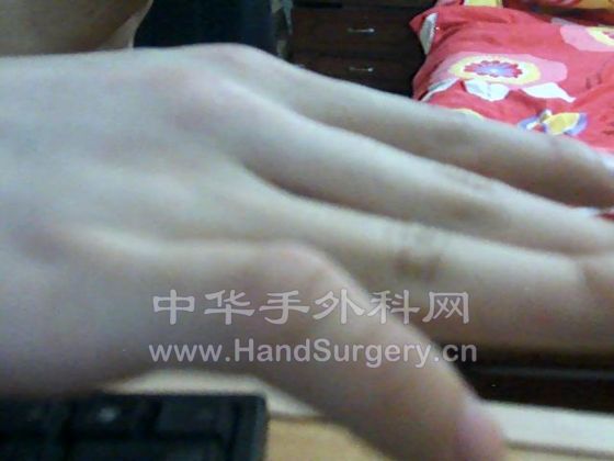 图片 003.jpg