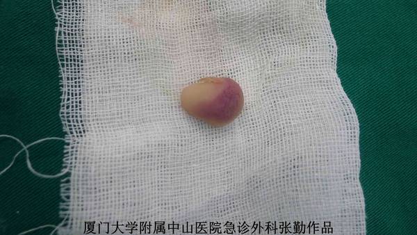P1270369new.jpg