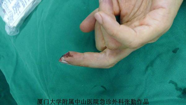 P1270166new.jpg
