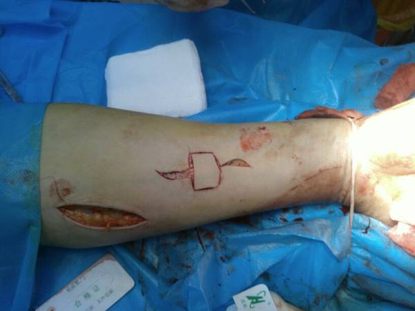 thumb9506.jpg