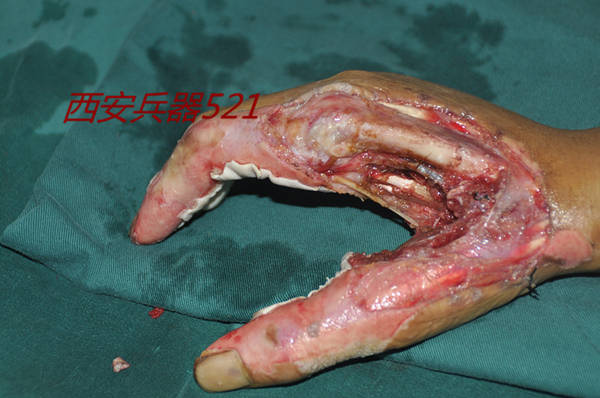 DSC_0040_副本.jpg