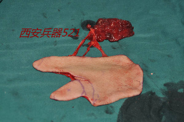 DSC_0114_副本.jpg