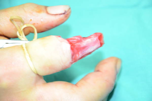 DSC_2793.JPG