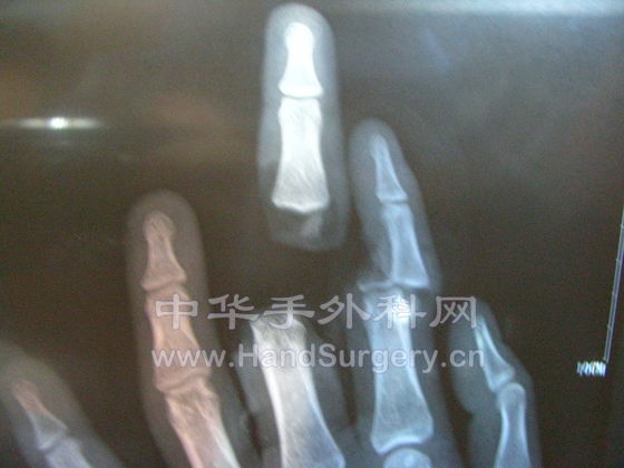 照片 564.jpg