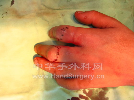 照片 537.jpg