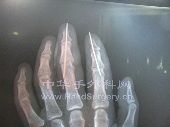 照片 565.jpg