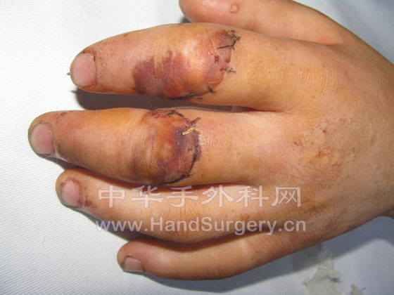 照片 410.jpg