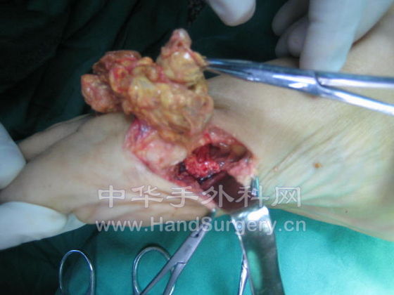 照片 699.jpg