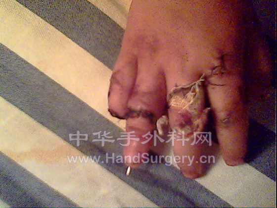 IMG0231A.jpg