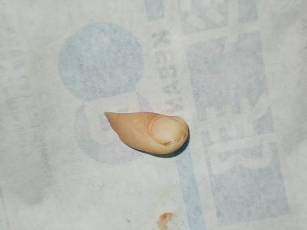 DSCN4468.JPG