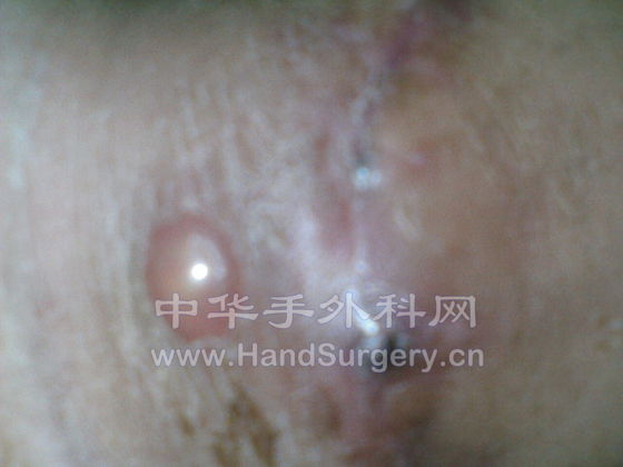 IMG002.JPG