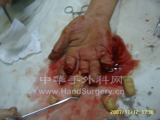 SUC50446.JPG