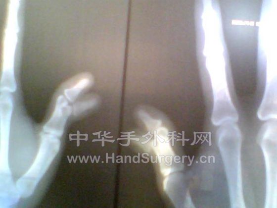 图片 005.jpg