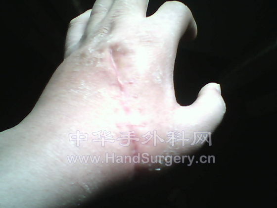PIC_7846.jpg
