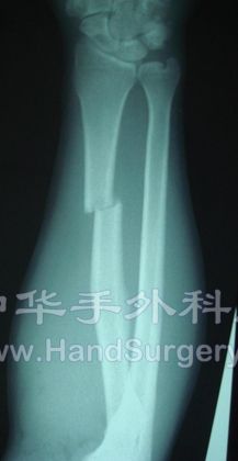复件 DSC04488.JPG