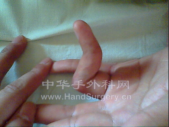 IMG0228A.jpg