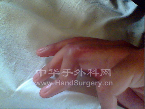 IMG0227A.jpg