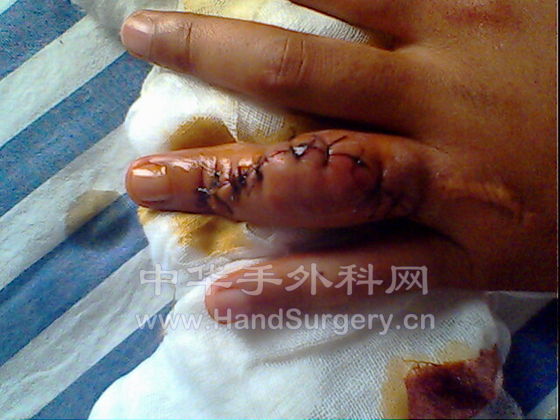 IMG0232A.jpg